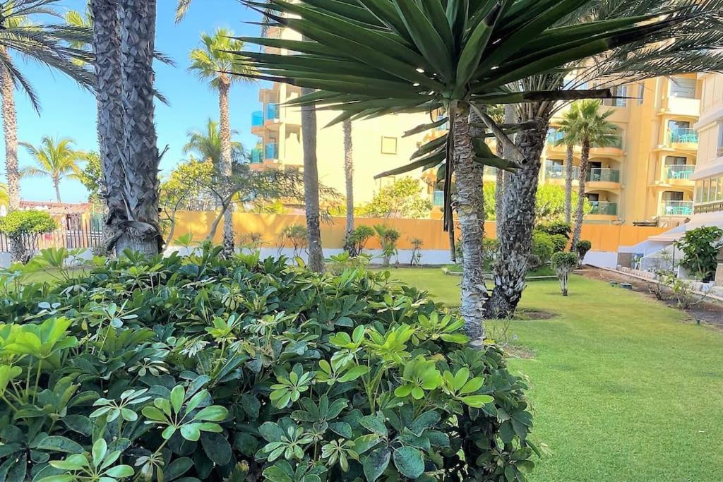 Beach Apartment La Lajilla Arguineguin エクステリア 写真